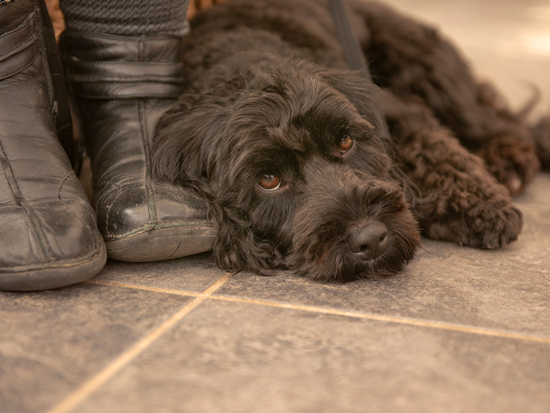 Umbraco.Cms.Infrastructure.PublishedCache.Property