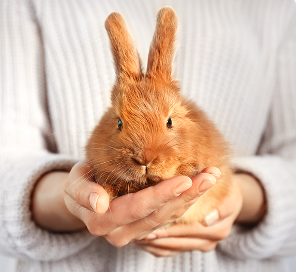 Umbraco.Cms.Infrastructure.PublishedCache.Property