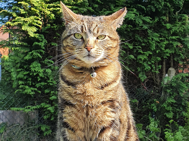 Umbraco.Cms.Infrastructure.PublishedCache.Property