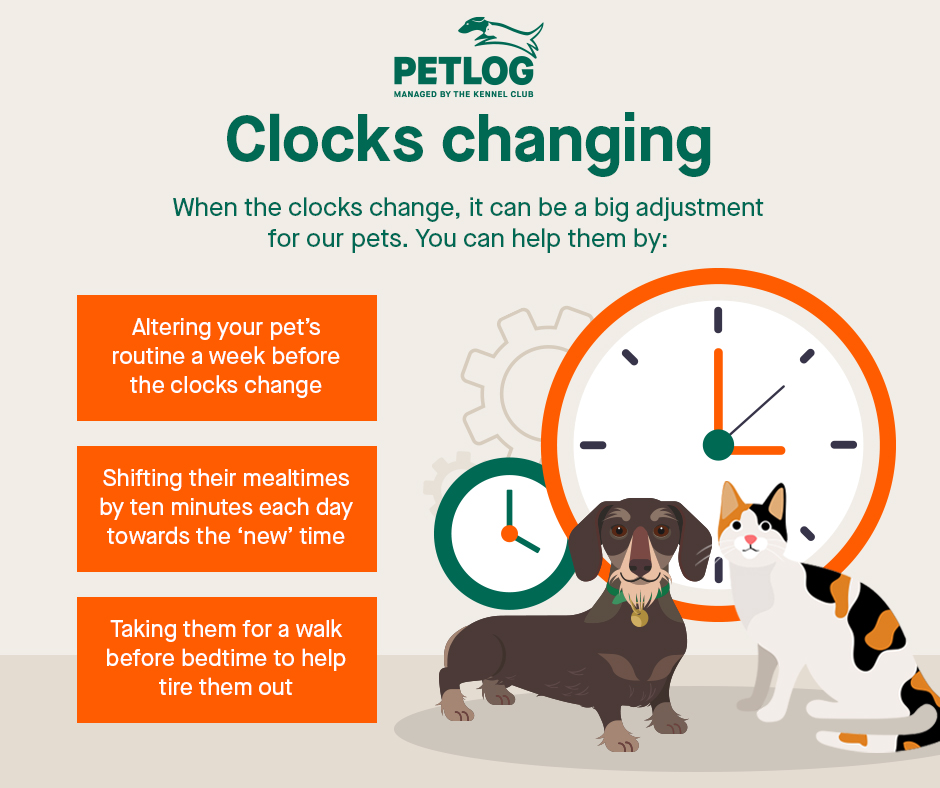 Umbraco.Cms.Infrastructure.PublishedCache.Property