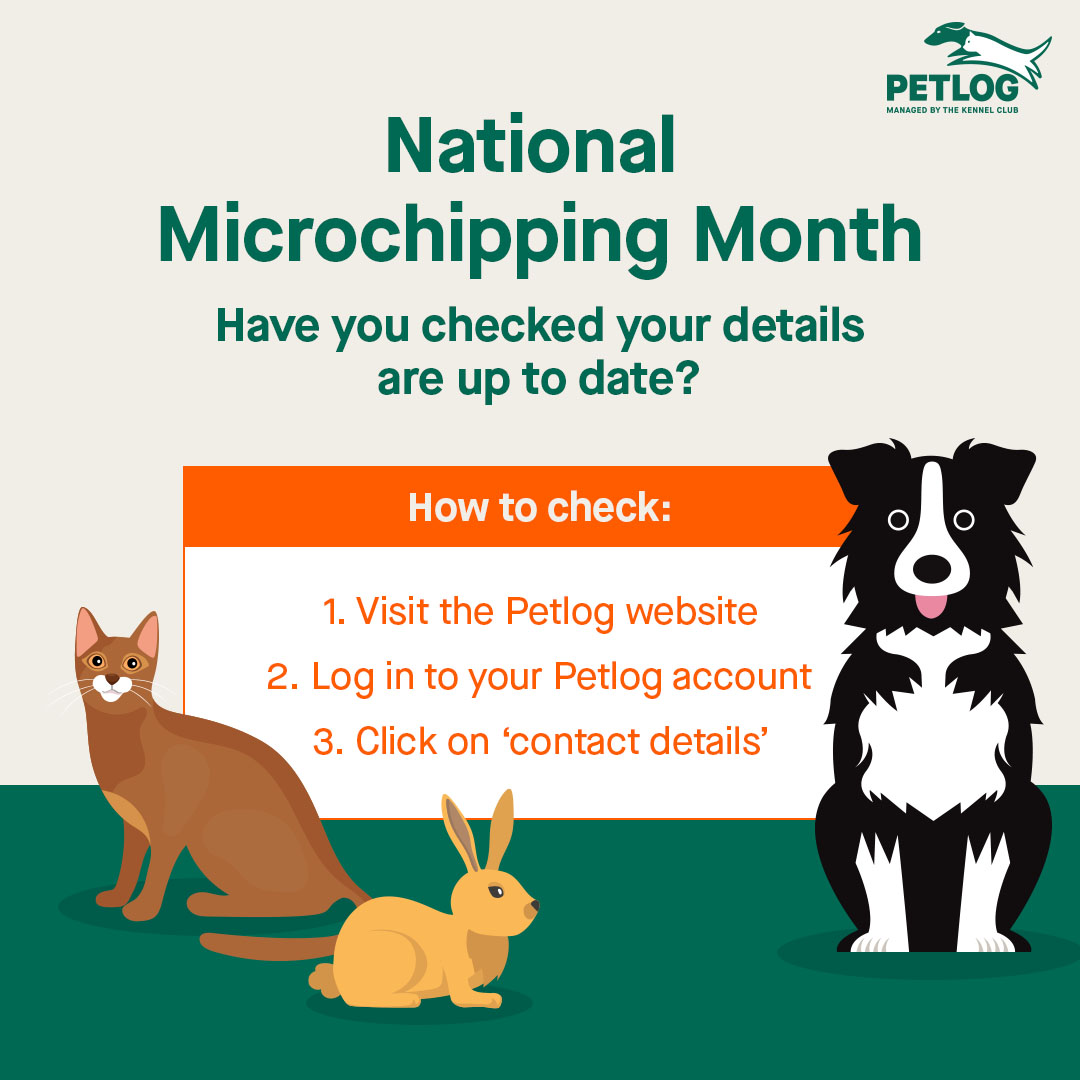 Umbraco.Cms.Infrastructure.PublishedCache.Property