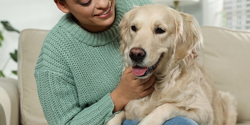 Umbraco.Cms.Infrastructure.PublishedCache.Property