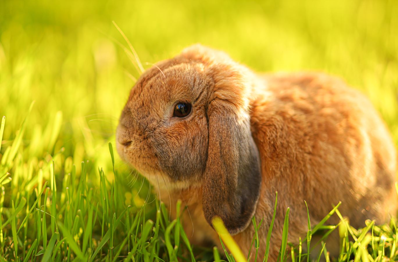 Umbraco.Cms.Infrastructure.PublishedCache.Property