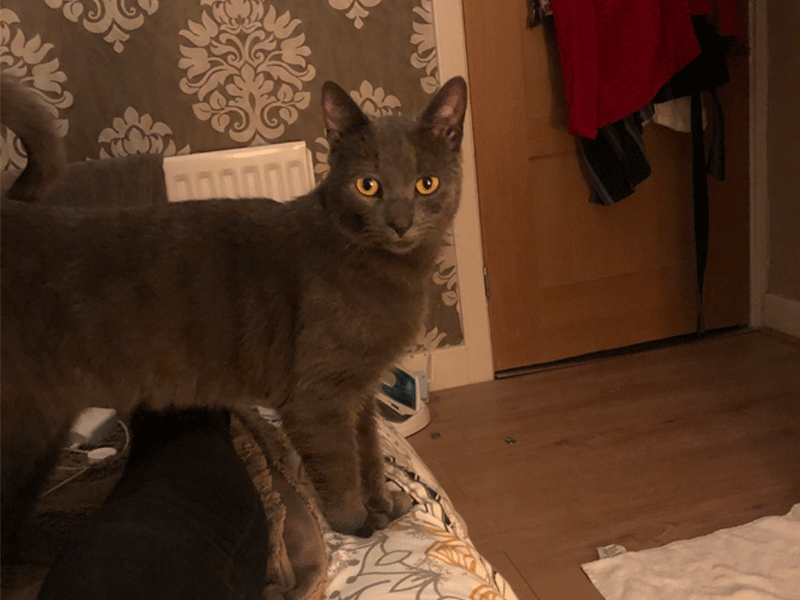 Umbraco.Cms.Infrastructure.PublishedCache.Property