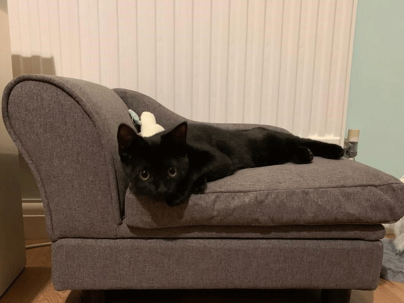 Umbraco.Cms.Infrastructure.PublishedCache.Property