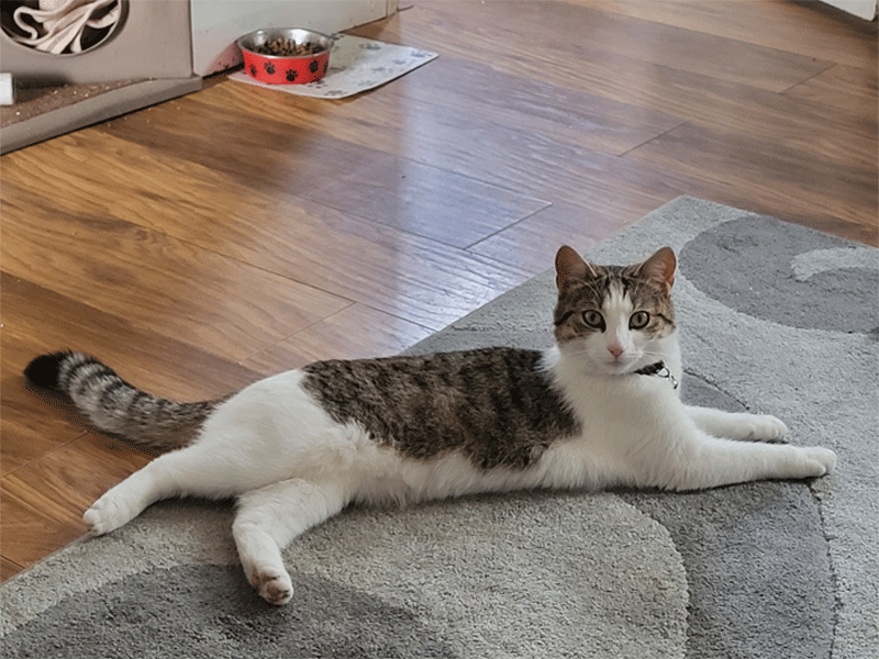 Umbraco.Cms.Infrastructure.PublishedCache.Property