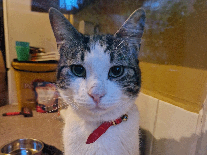 Umbraco.Cms.Infrastructure.PublishedCache.Property