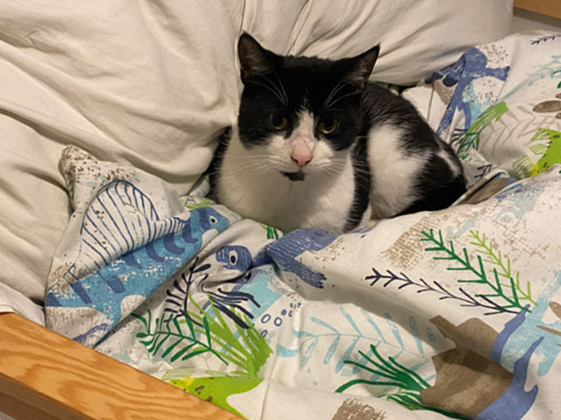 Umbraco.Cms.Infrastructure.PublishedCache.Property