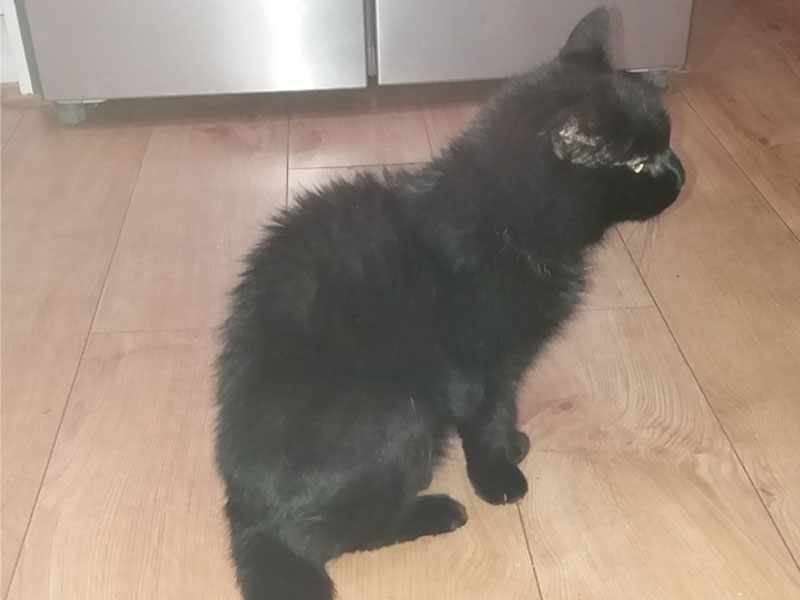 Umbraco.Cms.Infrastructure.PublishedCache.Property