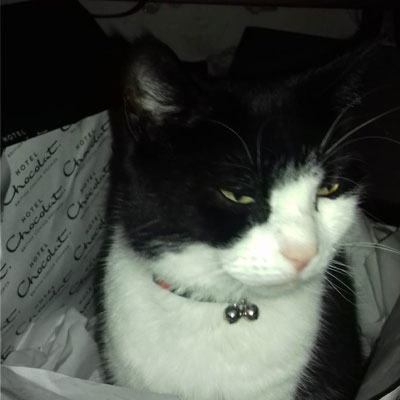 Umbraco.Cms.Infrastructure.PublishedCache.Property