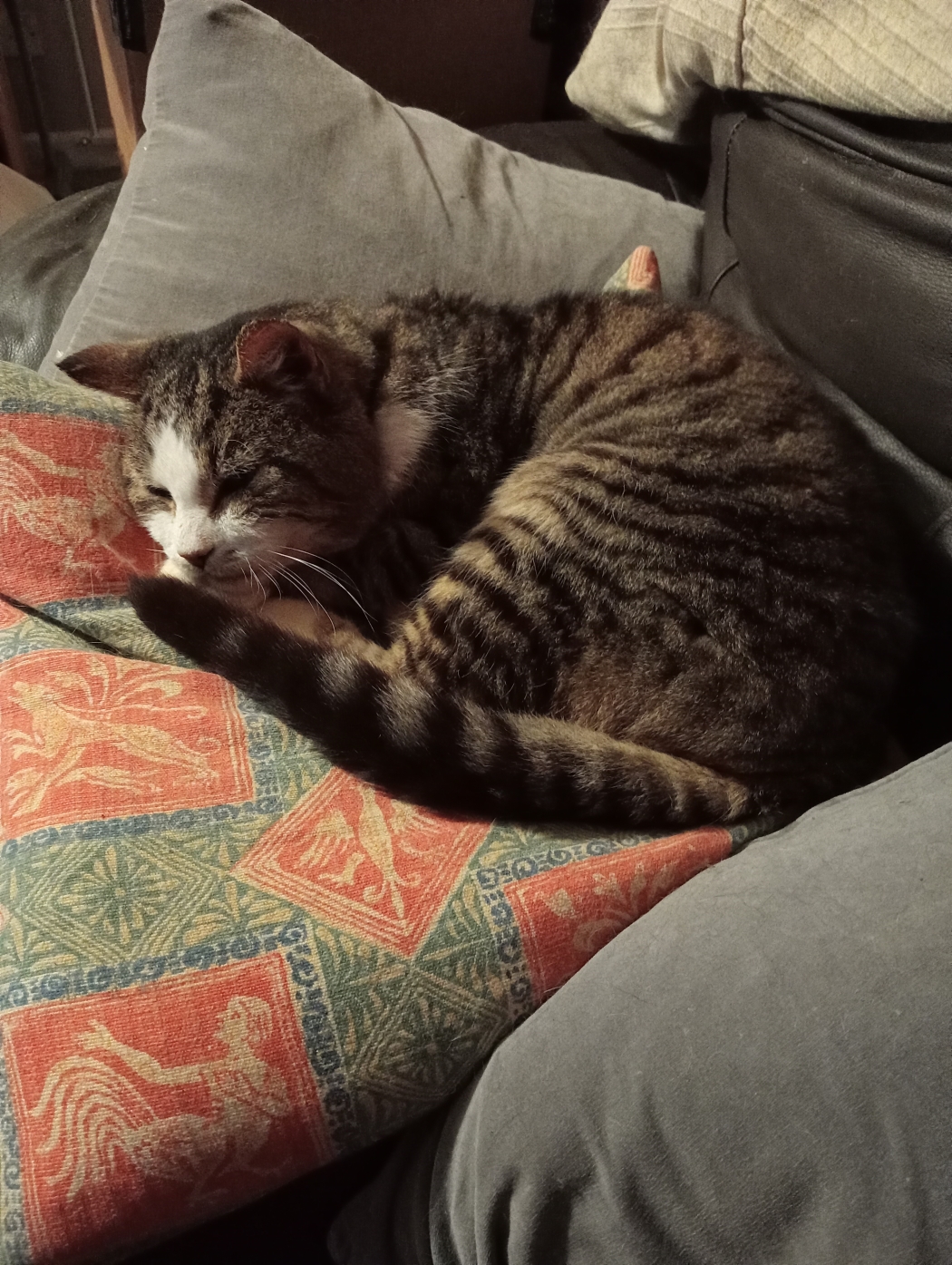 Umbraco.Cms.Infrastructure.PublishedCache.Property