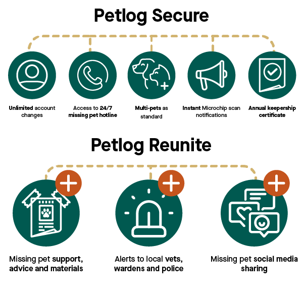 Umbraco.Cms.Infrastructure.PublishedCache.Property